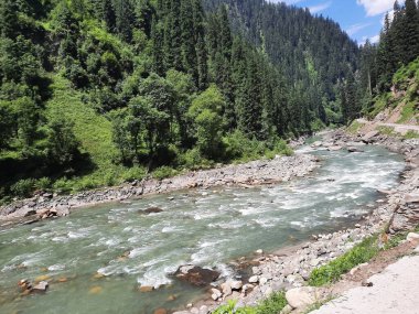 Kaşmir 'deki Neelum Vadisi' nin göz kamaştırıcı gündüz manzarası. Kaşmir 'deki Neelum Vadisi nefes kesici bir yerdir. Bereketli yeşil manzarası, uzun ağaçları ve canlı yeşilliği cennete benzer bir manzara yaratır..