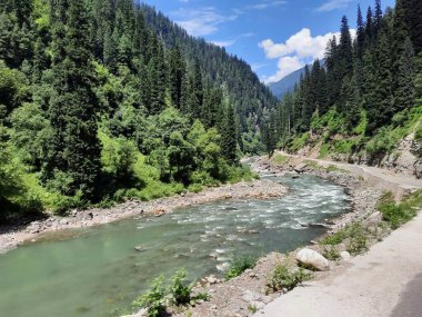Kaşmir 'deki Neelum Vadisi' nin göz kamaştırıcı gündüz manzarası. Kaşmir 'deki Neelum Vadisi nefes kesici bir yerdir. Bereketli yeşil manzarası, uzun ağaçları ve canlı yeşilliği cennete benzer bir manzara yaratır..