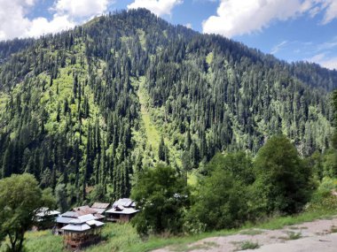 Kaşmir 'deki Neelum Vadisi' nin göz kamaştırıcı gündüz manzarası. Kaşmir 'deki Neelum Vadisi nefes kesici bir yerdir. Bereketli yeşil manzarası, uzun ağaçları ve canlı yeşilliği cennete benzer bir manzara yaratır..