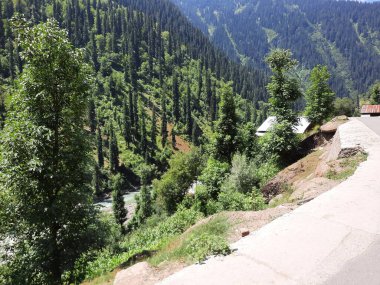 Kaşmir 'deki Neelum Vadisi' nin göz kamaştırıcı gündüz manzarası. Kaşmir 'deki Neelum Vadisi nefes kesici bir yerdir. Bereketli yeşil manzarası, uzun ağaçları ve canlı yeşilliği cennete benzer bir manzara yaratır..