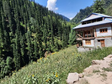 Kaşmir 'deki Neelum Vadisi' nin göz kamaştırıcı gündüz manzarası. Kaşmir 'deki Neelum Vadisi nefes kesici bir yerdir. Bereketli yeşil manzarası, uzun ağaçları ve canlı yeşilliği cennete benzer bir manzara yaratır..