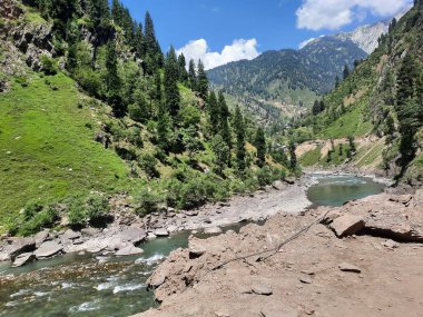 Kaşmir 'deki Neelum Vadisi' nin göz kamaştırıcı gündüz manzarası. Kaşmir 'deki Neelum Vadisi nefes kesici bir yerdir. Bereketli yeşil manzarası, uzun ağaçları ve canlı yeşilliği cennete benzer bir manzara yaratır..