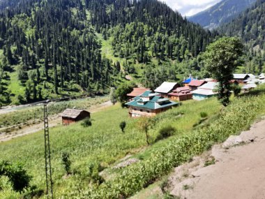 Kaşmir 'deki Neelum Vadisi' nin göz kamaştırıcı gündüz manzarası. Kaşmir 'deki Neelum Vadisi nefes kesici bir yerdir. Bereketli yeşil manzarası, uzun ağaçları ve canlı yeşilliği cennete benzer bir manzara yaratır..