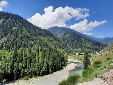 Kaşmir 'deki Neelum Vadisi' nin göz kamaştırıcı gündüz manzarası. Kaşmir 'deki Neelum Vadisi nefes kesici bir yerdir. Bereketli yeşil manzarası, uzun ağaçları ve canlı yeşilliği cennete benzer bir manzara yaratır..