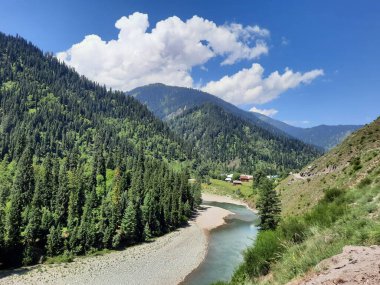 Kaşmir 'deki Neelum Vadisi' nin göz kamaştırıcı gündüz manzarası. Kaşmir 'deki Neelum Vadisi nefes kesici bir yerdir. Bereketli yeşil manzarası, uzun ağaçları ve canlı yeşilliği cennete benzer bir manzara yaratır..