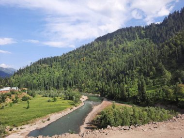 Kaşmir 'deki Neelum Vadisi' nin göz kamaştırıcı gündüz manzarası. Kaşmir 'deki Neelum Vadisi nefes kesici bir yerdir. Bereketli yeşil manzarası, uzun ağaçları ve canlı yeşilliği cennete benzer bir manzara yaratır..
