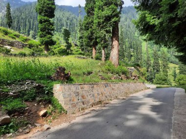 Kaşmir 'deki Neelum Vadisi' nin göz kamaştırıcı gündüz manzarası. Kaşmir 'deki Neelum Vadisi nefes kesici bir yerdir. Bereketli yeşil manzarası, uzun ağaçları ve canlı yeşilliği cennete benzer bir manzara yaratır..