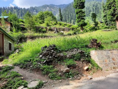 Kaşmir 'deki Neelum Vadisi' nin göz kamaştırıcı gündüz manzarası. Kaşmir 'deki Neelum Vadisi nefes kesici bir yerdir. Bereketli yeşil manzarası, uzun ağaçları ve canlı yeşilliği cennete benzer bir manzara yaratır..