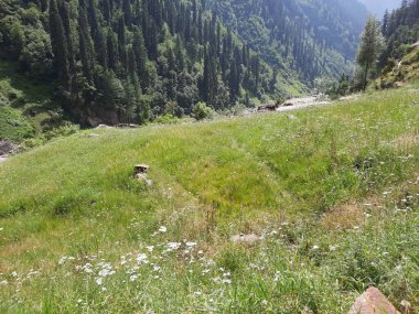 Kaşmir 'deki Neelum Vadisi' nin göz kamaştırıcı gündüz manzarası. Kaşmir 'deki Neelum Vadisi nefes kesici bir yerdir. Bereketli yeşil manzarası, uzun ağaçları ve canlı yeşilliği cennete benzer bir manzara yaratır..