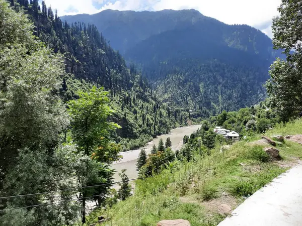 Kaşmir 'deki Neelum Vadisi' nin göz kamaştırıcı gündüz manzarası. Kaşmir 'deki Neelum Vadisi nefes kesici bir yerdir. Bereketli yeşil manzarası, uzun ağaçları ve canlı yeşilliği cennete benzer bir manzara yaratır..