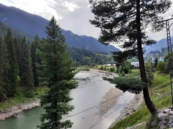 Kaşmir 'deki Neelum Vadisi' nin göz kamaştırıcı gündüz manzarası. Kaşmir 'deki Neelum Vadisi nefes kesici bir yerdir. Bereketli yeşil manzarası, uzun ağaçları ve canlı yeşilliği cennete benzer bir manzara yaratır..