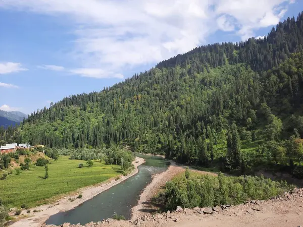 Kaşmir 'deki Neelum Vadisi' nin göz kamaştırıcı gündüz manzarası. Kaşmir 'deki Neelum Vadisi nefes kesici bir yerdir. Bereketli yeşil manzarası, uzun ağaçları ve canlı yeşilliği cennete benzer bir manzara yaratır..