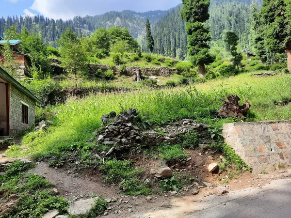 Kaşmir 'deki Neelum Vadisi' nin göz kamaştırıcı gündüz manzarası. Kaşmir 'deki Neelum Vadisi nefes kesici bir yerdir. Bereketli yeşil manzarası, uzun ağaçları ve canlı yeşilliği cennete benzer bir manzara yaratır..