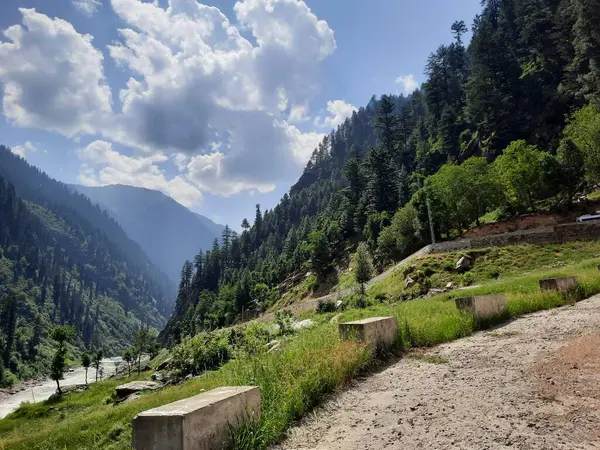 Kaşmir 'deki Neelum Vadisi' nin göz kamaştırıcı gündüz manzarası. Kaşmir 'deki Neelum Vadisi nefes kesici bir yerdir. Bereketli yeşil manzarası, uzun ağaçları ve canlı yeşilliği cennete benzer bir manzara yaratır..