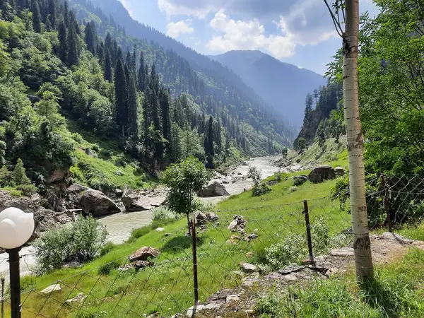 Kaşmir 'deki Neelum Vadisi' nin göz kamaştırıcı gündüz manzarası. Kaşmir 'deki Neelum Vadisi nefes kesici bir yerdir. Bereketli yeşil manzarası, uzun ağaçları ve canlı yeşilliği cennete benzer bir manzara yaratır..
