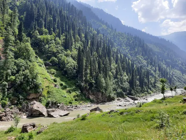 Kaşmir 'deki Neelum Vadisi' nin göz kamaştırıcı gündüz manzarası. Kaşmir 'deki Neelum Vadisi nefes kesici bir yerdir. Bereketli yeşil manzarası, uzun ağaçları ve canlı yeşilliği cennete benzer bir manzara yaratır..