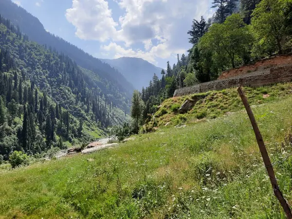 Kaşmir 'deki Neelum Vadisi' nin göz kamaştırıcı gündüz manzarası. Kaşmir 'deki Neelum Vadisi nefes kesici bir yerdir. Bereketli yeşil manzarası, uzun ağaçları ve canlı yeşilliği cennete benzer bir manzara yaratır..
