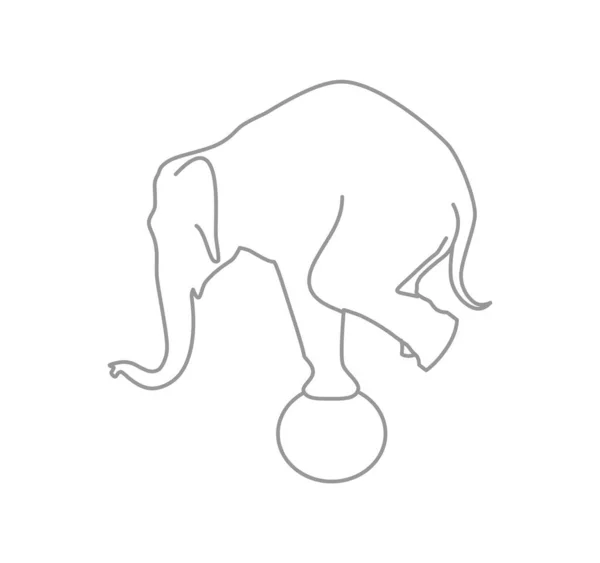 코끼리는 위에서 균형을 — 스톡 벡터