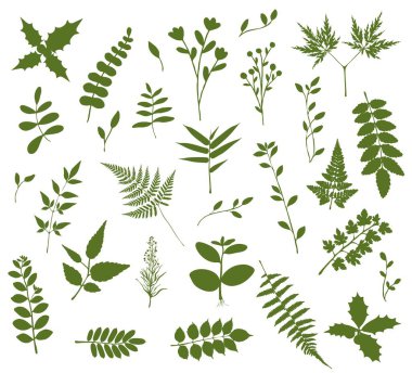 Geniş yaprak ve gövde seti