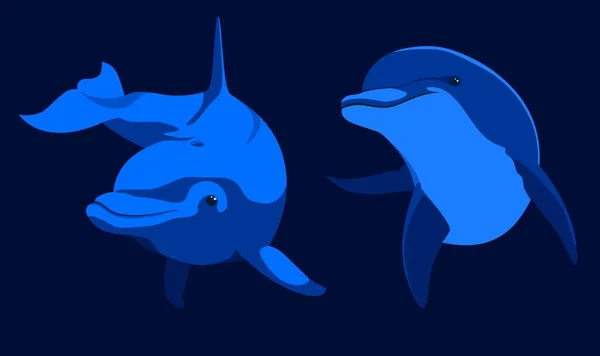Illustrazione Due Delfini Nuotatori — Vettoriale Stock