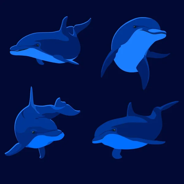 Ilustraciones Delfines Azules — Vector de stock