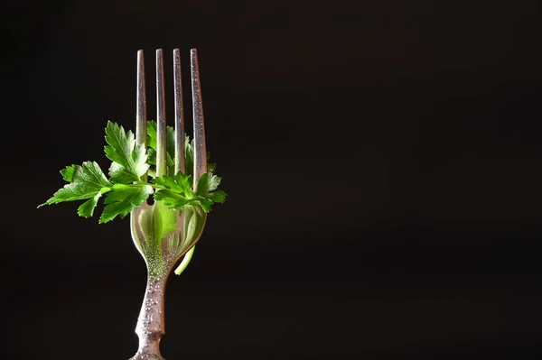 stock image Parsley leaves on a fork on a black background 