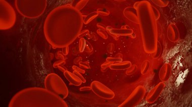 Mikroskobik Görünüm: Kırmızı Kan Hücresi Bakterileri Kan akışının 3D Tıbbi İllüstrasyon Anatomik Perspektifini İstila Ediyor.