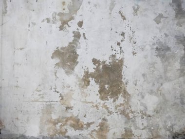 Hasarlı yüzeyli beyaz boş bina duvarları, yaştan dolayı boyası soyuluyor.