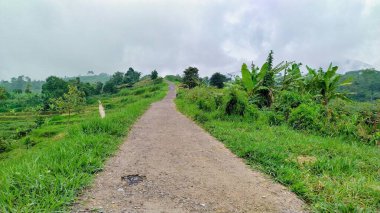 Etrafı dağlarla ve yemyeşil bitkilerle çevrili, asfalt bir yolun güzel manzarası..