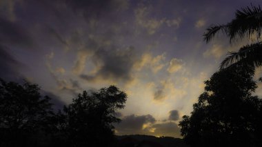 Akşama doğru gökyüzü görünüyor, ağaçların siluetleriyle.