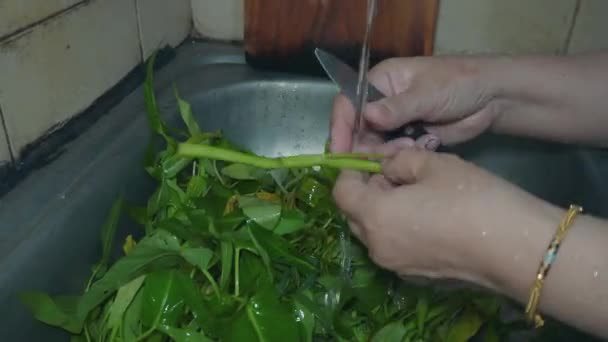 Cutting Washing Kale Dirt Preparation Cooking Process — Stock Video