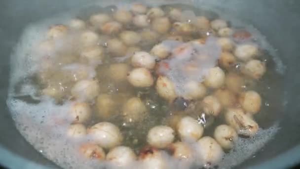 Process Cooking Boiled Bogor Peanuts Bambara Groundnuts Which Soaked Water — Stock Video