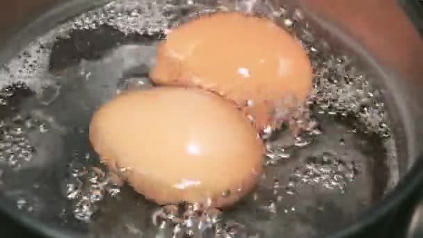 Процесс Кипячения Куриных Яиц Кипящей Водой — стоковое видео