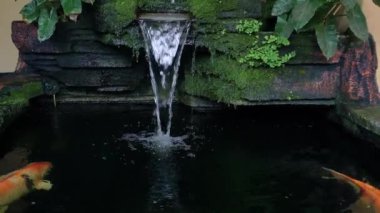 Ev balığı havuzu güzel renklerde Koi balığıyla doludur, yapay bir şelale süsüsüyle tamamlanır.