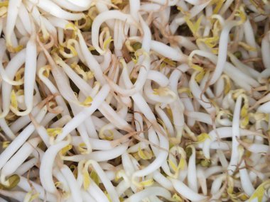 Taze taze fasulye filizi yığını.