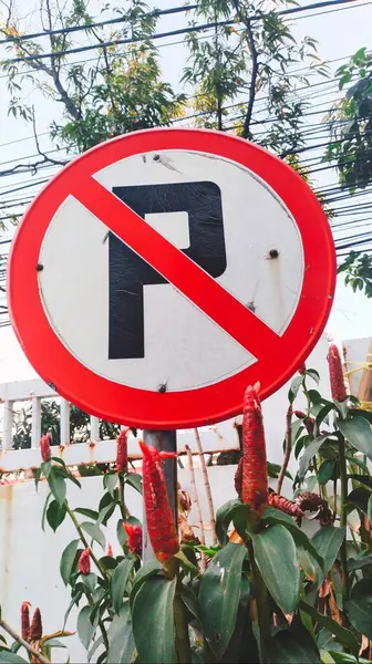 Bir trafik levhası, park yeri yok işareti koyu kırmızı bir daire ve kesme.