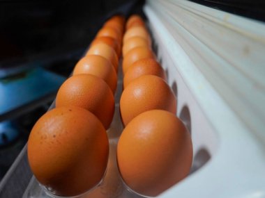Buzdolabının rafında sıralanmış tavuk yumurtaları var.