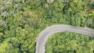 Bereketli, ormanlık bir alanda dolambaçlı bir dağ yolunun hava manzarası.