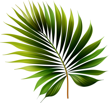 Tropik Egzotik Palmiye yaprağı