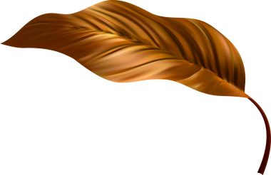 Tropik Egzotik Kahverengi Yaprak