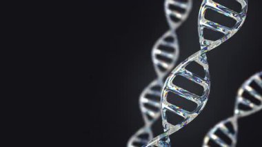 Şeffaf, yanardöner DNA çift sarmal. Dönen holografik cam moleküler yapı, yumuşak odak. Tıbbi, bilimsel ve biyoteknoloji için ideal. 4K döngüsü 3d canlandırma canlandırması.