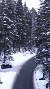 Kış yolunda giden arabalı, karlı orman dağları. Ukraynalı Karpatların insansız hava aracı atışı. Doğal manzara 4K dikey video.