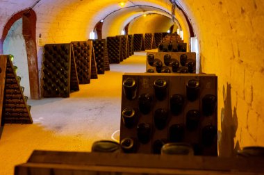 Uzun yeraltı mağaralarında tozlu şişelerle yürümek, şarap ve şarap yapmak Epernay, Şampanya, Fransa 'da kara üzümler