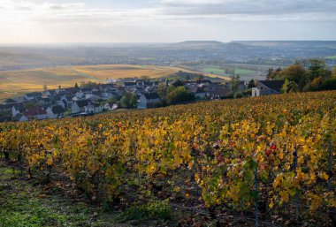 Renkli şampanya bağları ve Epernay, Champange, Fransa yakınlarındaki Hautvillers köyünün panoramik otomatik görüntüsü
