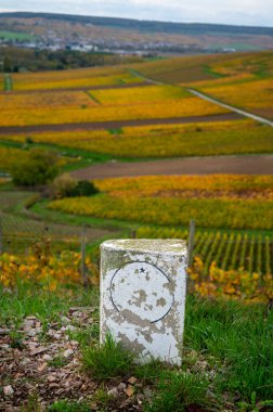 Epernay, Champange, Fransa yakınlarındaki Hautvillers köyündeki renkli şampanya bağlarının panoramik otomatik görüntüsü