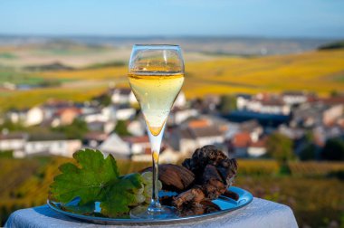 Fransız köpüklü beyaz şarabının tadına bakmak açık terasta şampanya içmek Epernay, Fransa yakınlarındaki Cramant köyünde renkli büyük cru şampanya bağları manzaralı