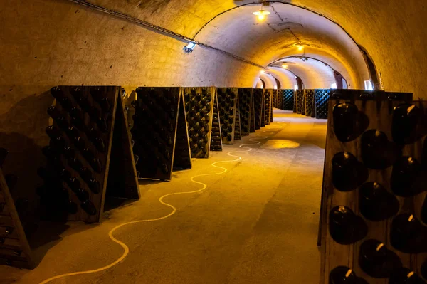 Wandelen Diepe Lange Ondergrondse Grotten Met Stoffige Flessen Rekken Champagne — Stockfoto