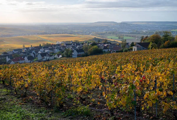 Blick Auf Bunte Champagner Weinberge Und Das Dorf Hautvillers Der — Stockfoto