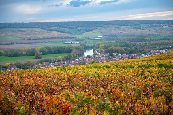 Herbstlicher Blick Auf Bunte Champagner Weinberge Nach Der Ernte Dorf — Stockfoto
