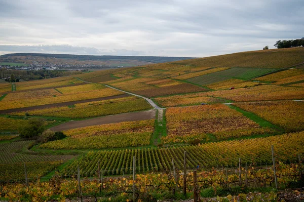 Panoramisch Uitzicht Kleurrijke Champagnewijngaarden Het Dorp Hautvillers Bij Epernay Champange — Stockfoto